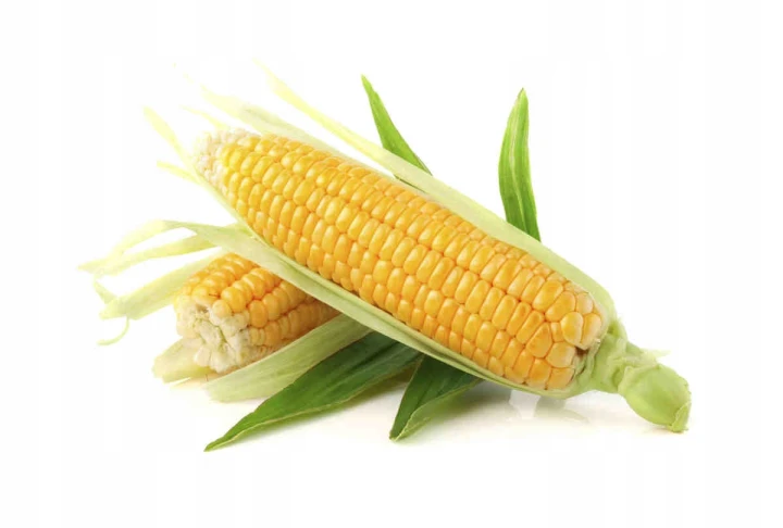 551ac608ea030efa802a60fffc62d669