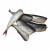 98175ff2bb9b19d5caa7193d3d9bd972